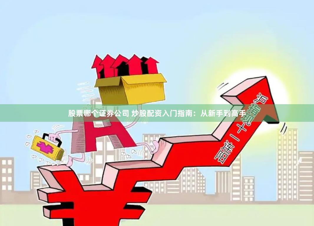 股票哪个证券公司 炒股配资入门指南：从新手到高手