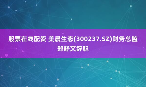 股票在线配资 美晨生态(300237.SZ)财务总监郑舒文辞职