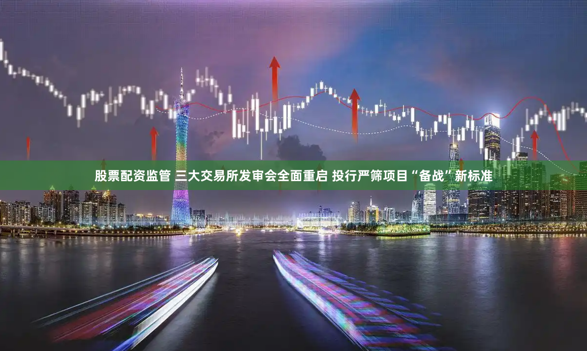 股票配资监管 三大交易所发审会全面重启 投行严筛项目“备战”新标准