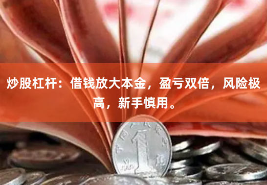 炒股杠杆：借钱放大本金，盈亏双倍，风险极高，新手慎用。